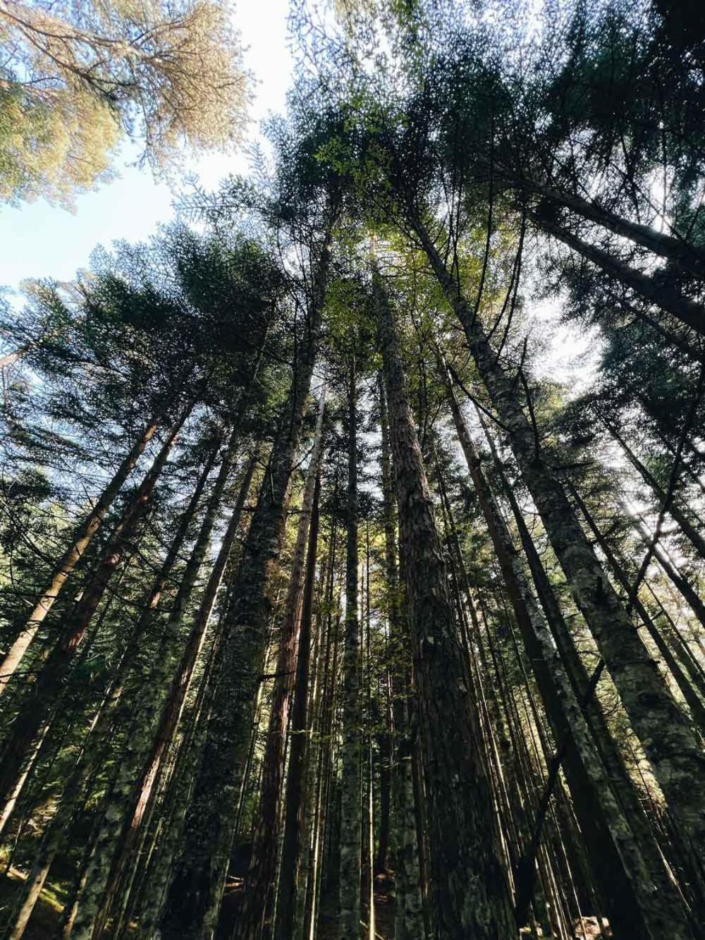 Ala Glamping Hotel Ilica  Kültér fotó